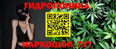 индика Ливны